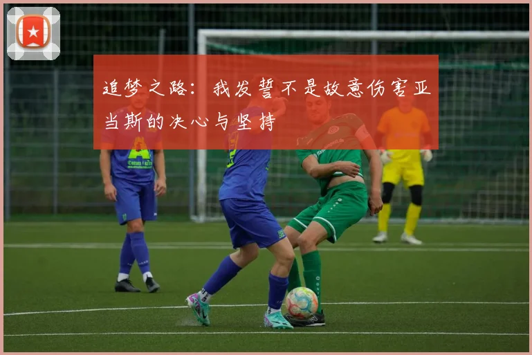 追梦之路：我发誓不是故意伤害亚当斯的决心与坚持