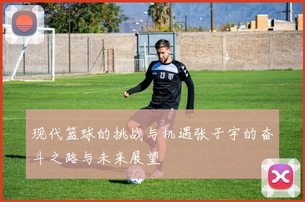 现代篮球的挑战与机遇张子宇的奋斗之路与未来展望