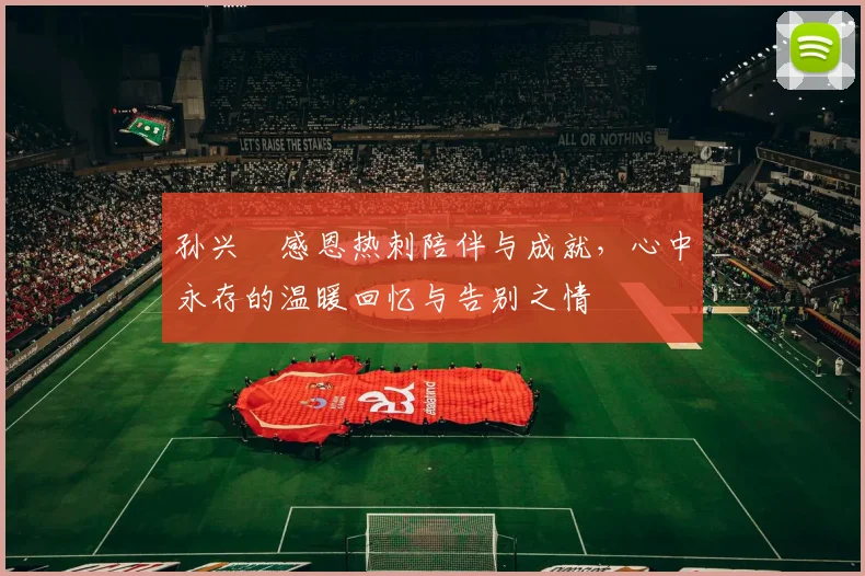 孙兴慜感恩热刺陪伴与成就，心中永存的温暖回忆与告别之情