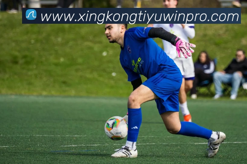 星空体育APP 高清赛事图