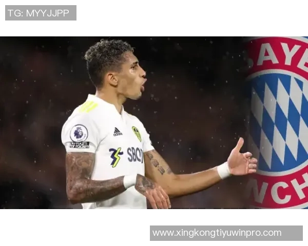 拜仁慕尼黑密切关注南美新星拉扬与索萨的转会动态 拜仁慕尼黑密切关注南美新星拉扬与索萨的转会动态