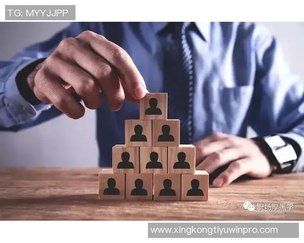 麦克法兰谈与马雷斯卡的职业关系及高层支持情况